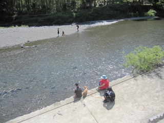 IMG_5301.JPG